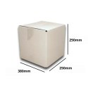 PUDEŁKO OPAKOWANIE KARTON 380x250x250 BIAŁE 10 B