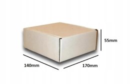 PUDEŁKO OPAKOWANIE KARTON 170x140x55 BIAŁE 50szt E