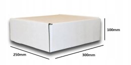 PUDEŁKO OPAKOWANIE KARTON 300x250x100 BIAŁE 10sz E