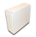 PUDEŁKO OPAKOWANIE KARTON 300x250x100 BIAŁE 10sz E