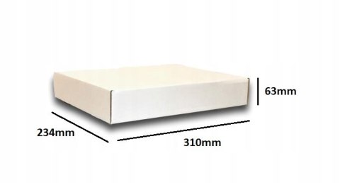 PUDEŁKO OPAKOWANIE KARTON 310x234x63 BIAŁE 10szt E PUDEŁKO OPAKOWANIE KARTON 310x234x63 BIAŁE 10szt E