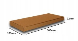 PUDEŁKO OPAKOWANIE na DOKUMENTY 300x125x22 10szt E
